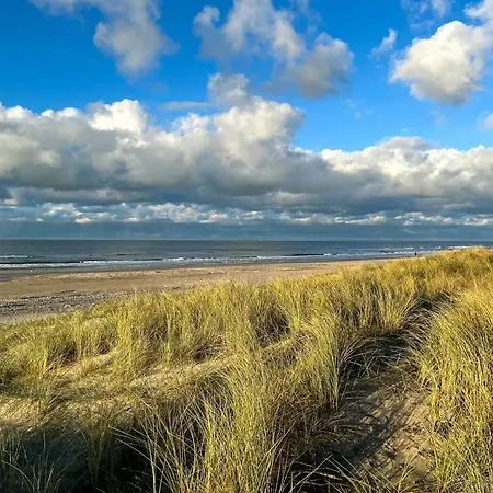 Artist's With North Sea Views Semesterbostad