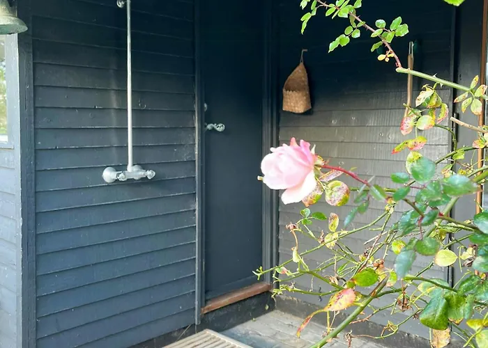 Artist's With North Sea Views *